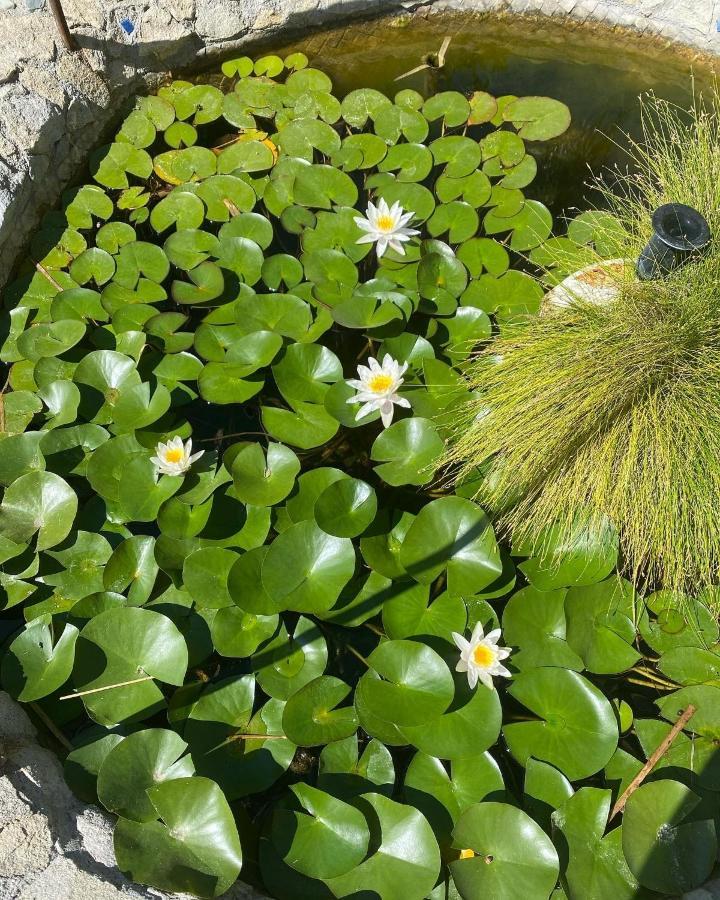 B&B Il Giardino Delle Meraviglie Меліто-ді-Порто-Сальво Екстер'єр фото